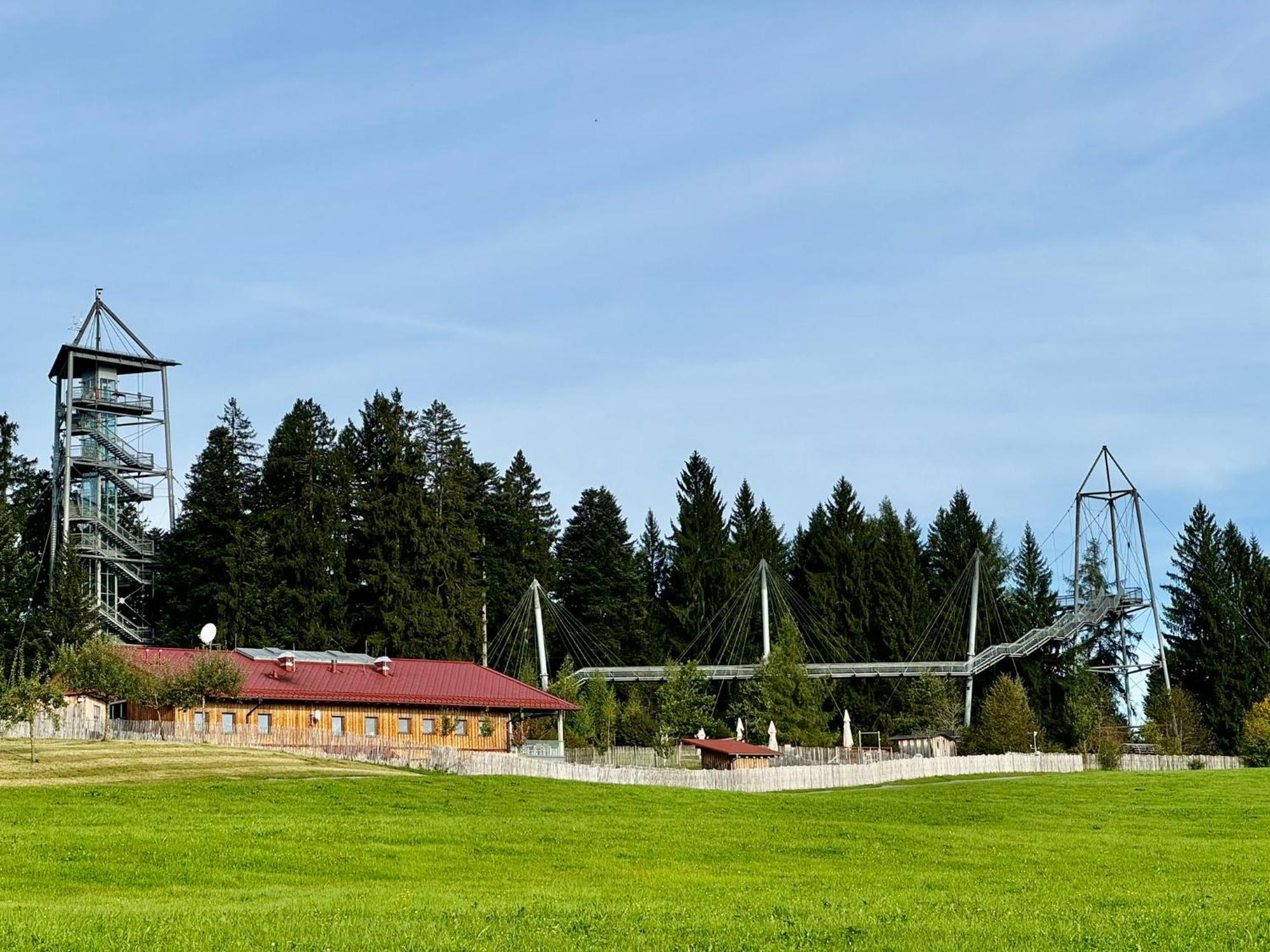 Apartament Jj Living - Alpenblick Scheidegg Zewnętrze zdjęcie